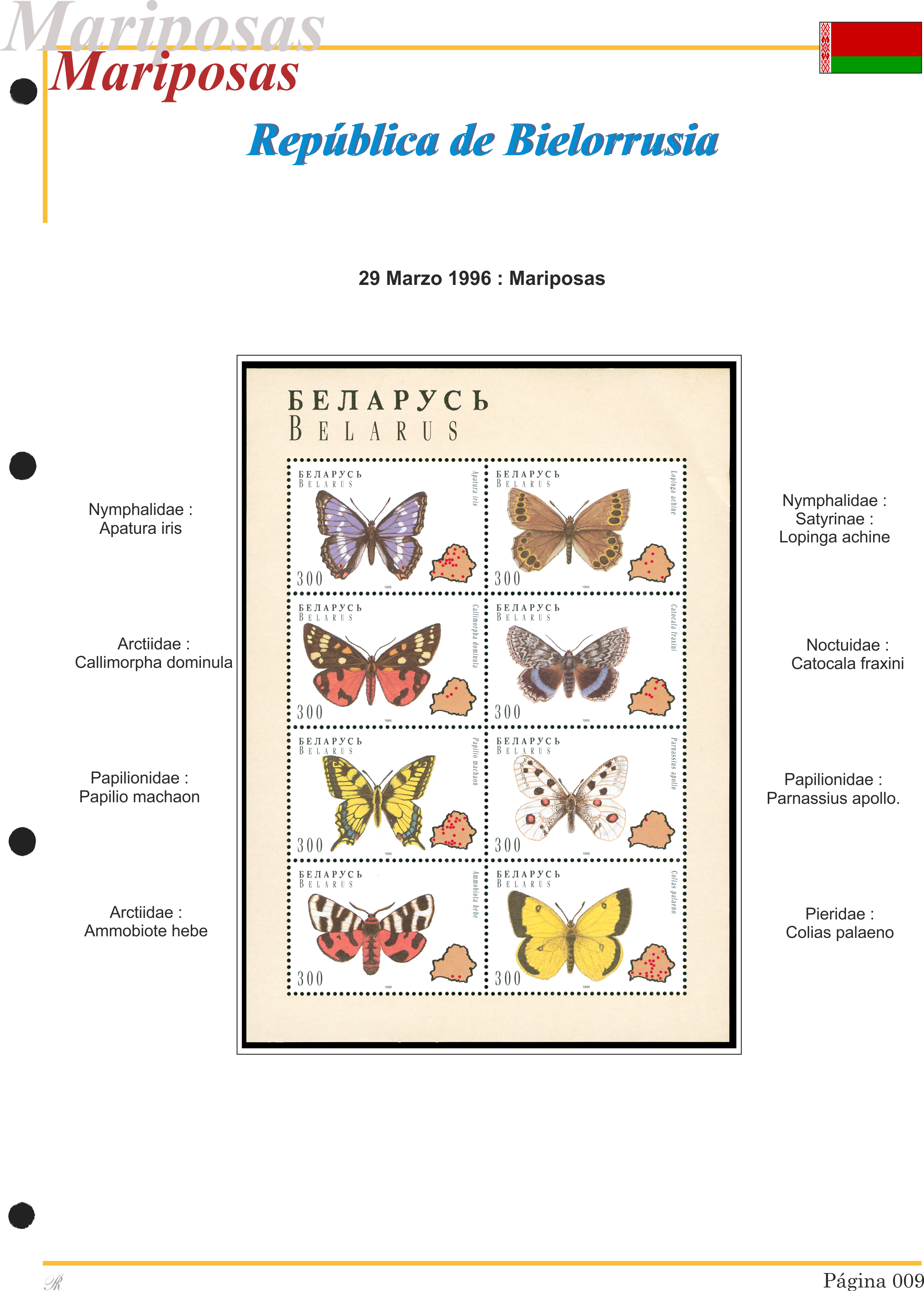 Álbum de mariposas