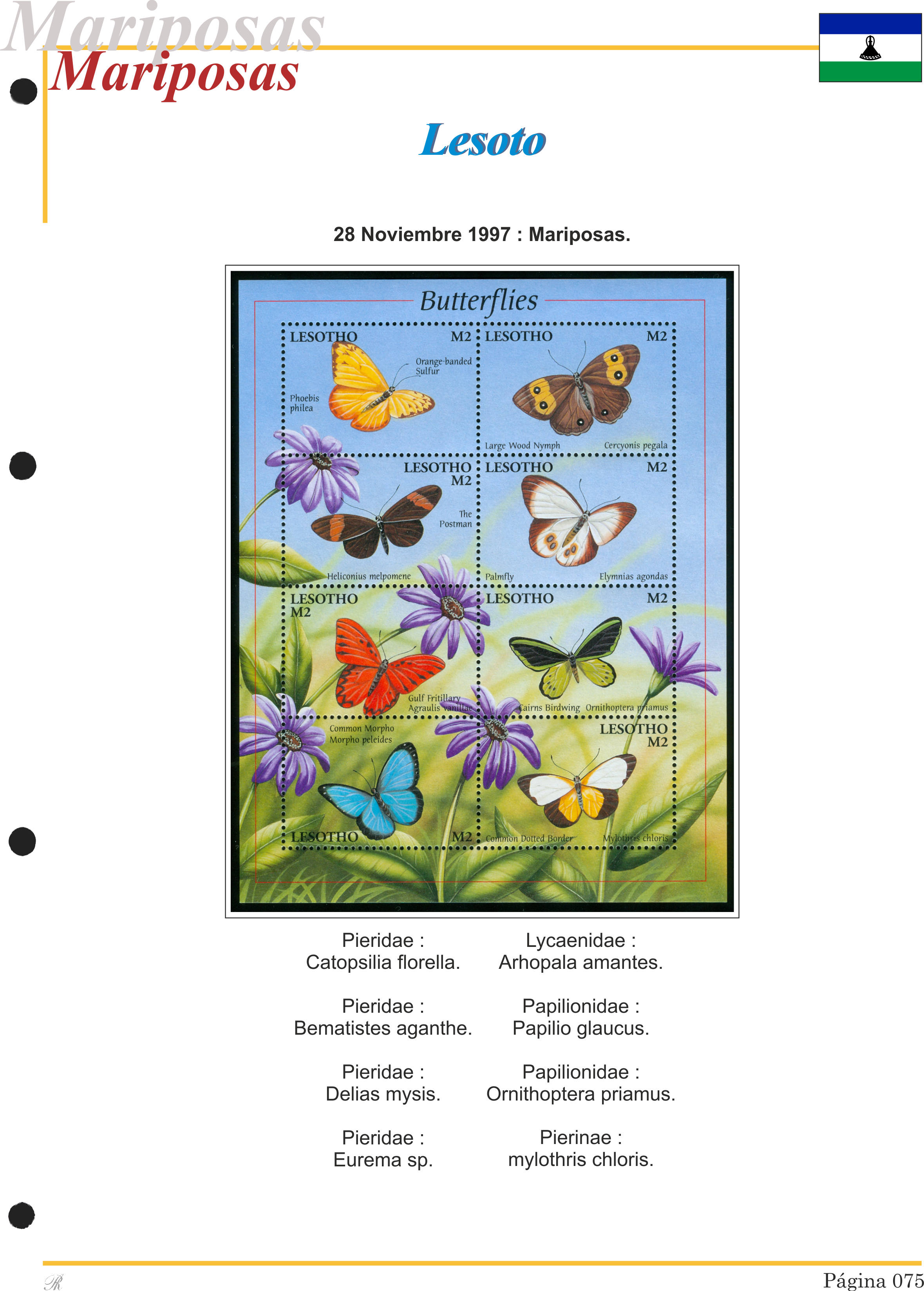 Álbum de mariposas